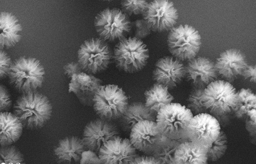 Ricerca su superfici e materiali