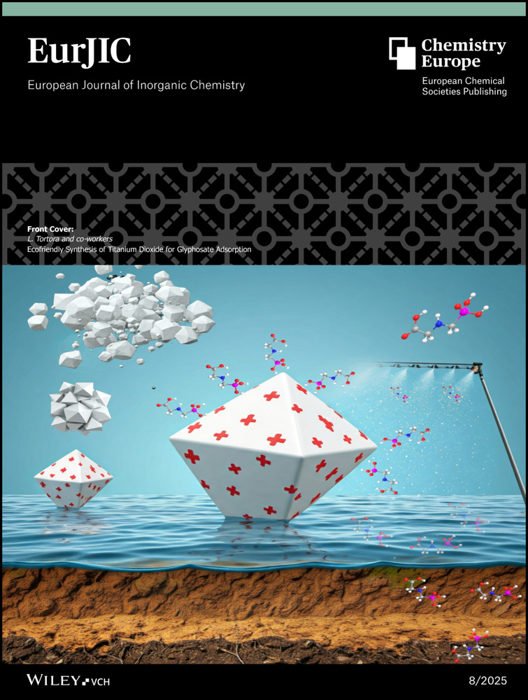 Copertina European Journal of Inorganic Chemistry 2025